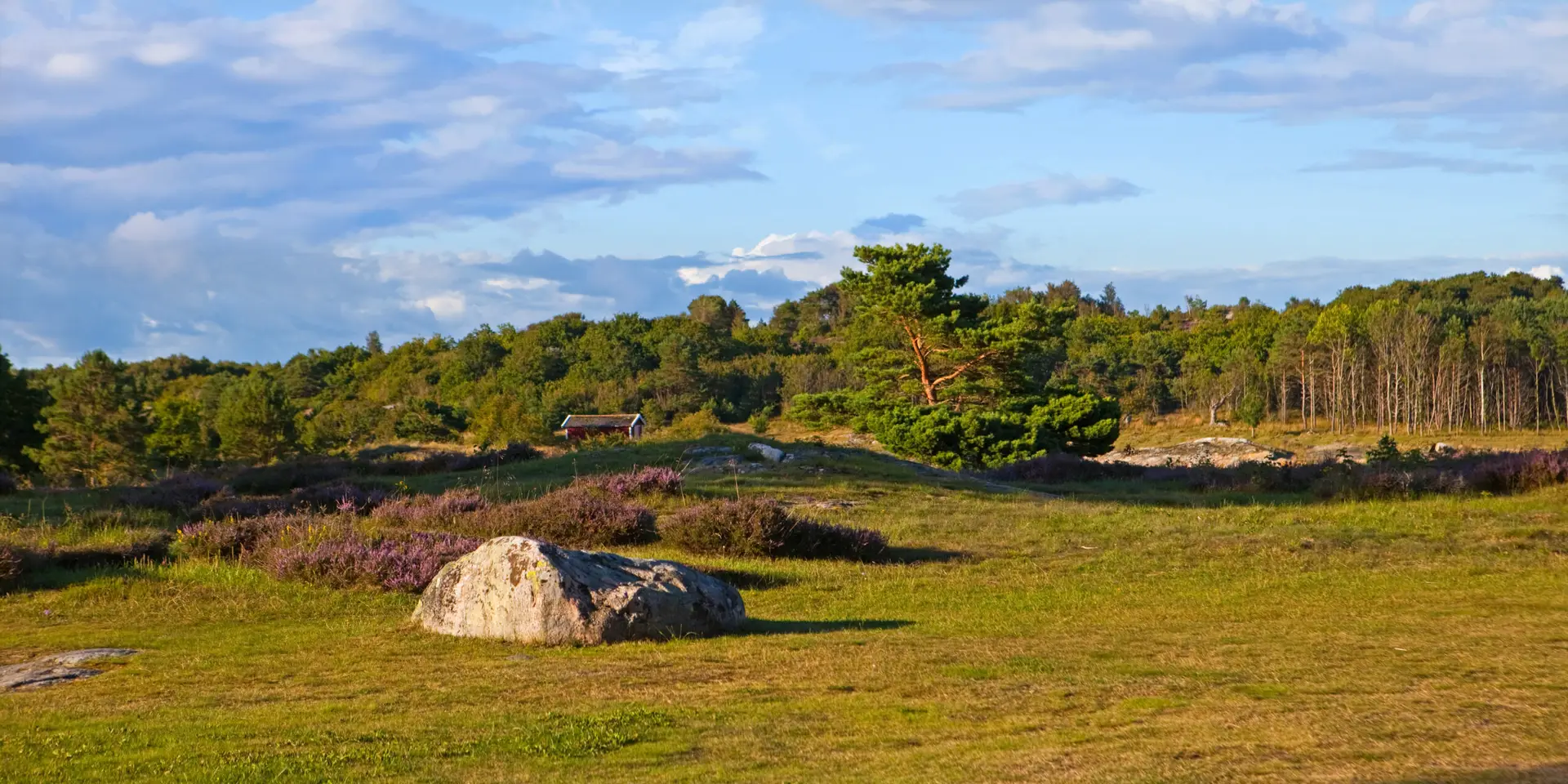 Koster_9684_(7768284938)